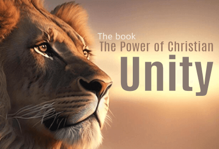 Store; Courses; Featured show